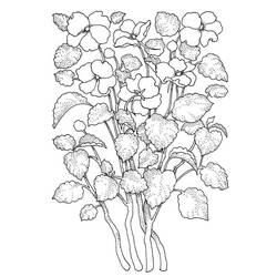 Zeichnungen zum Ausmalen: Erwachsene Blume - Kostenlose Malvorlagen zum Ausdrucken