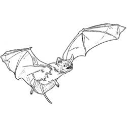 Malvorlage: Vampir (Fantasy- und Abenteuer-Charaktere) #85965 - Kostenlose Malvorlagen zum Ausdrucken