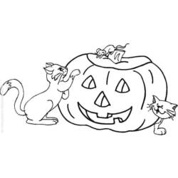 Malvorlage: Halloween (Feiertage und besondere Anlässe) #55485 - Kostenlose Malvorlagen zum Ausdrucken