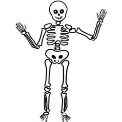 Malvorlage: Skelett (Figuren) #147408 - Kostenlose Malvorlagen zum Ausdrucken