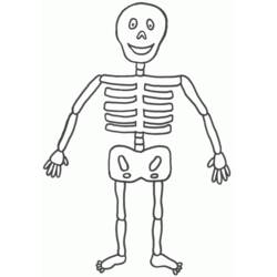 Malvorlage: Skelett (Figuren) #147411 - Kostenlose Malvorlagen zum Ausdrucken