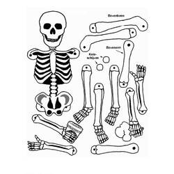 Malvorlage: Skelett (Figuren) #147419 - Kostenlose Malvorlagen zum Ausdrucken