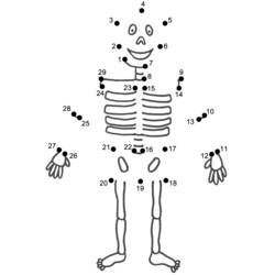 Malvorlage: Skelett (Figuren) #147445 - Kostenlose Malvorlagen zum Ausdrucken