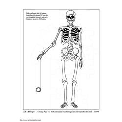 Malvorlage: Skelett (Figuren) #147456 - Kostenlose Malvorlagen zum Ausdrucken