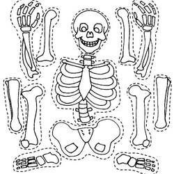 Malvorlage: Skelett (Figuren) #147464 - Kostenlose Malvorlagen zum Ausdrucken