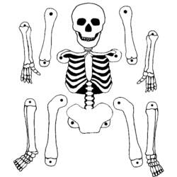 Malvorlage: Skelett (Figuren) #147465 - Kostenlose Malvorlagen zum Ausdrucken