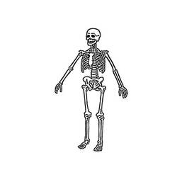 Malvorlage: Skelett (Figuren) #147554 - Kostenlose Malvorlagen zum Ausdrucken
