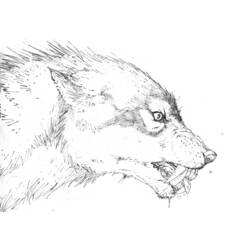 Malvorlage: Werwolf (Figuren) #100026 - Kostenlose Malvorlagen zum Ausdrucken