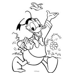 Malvorlage: Donald Duck (Karikaturen) #30159 - Kostenlose Malvorlagen zum Ausdrucken