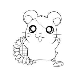 Malvorlage: Hamtaro (Karikaturen) #39928 - Kostenlose Malvorlagen zum Ausdrucken