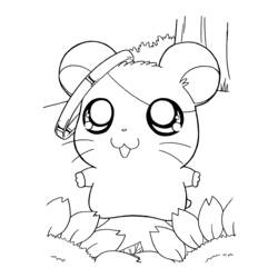 Malvorlage: Hamtaro (Karikaturen) #39937 - Kostenlose Malvorlagen zum Ausdrucken