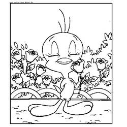 Malvorlage: Looney Tunes (Karikaturen) #39294 - Kostenlose Malvorlagen zum Ausdrucken