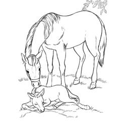 Malvorlage: Pferdeland (Karikaturen) #53922 - Kostenlose Malvorlagen zum Ausdrucken