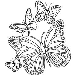 Malvorlage: Schmetterlings-Mandalas (Mandalas) #117400 - Kostenlose Malvorlagen zum Ausdrucken