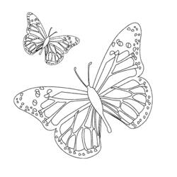 Malvorlage: Schmetterlings-Mandalas (Mandalas) #117410 - Kostenlose Malvorlagen zum Ausdrucken