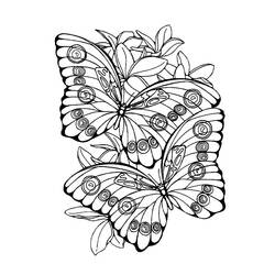 Malvorlage: Schmetterlings-Mandalas (Mandalas) #117423 - Kostenlose Malvorlagen zum Ausdrucken