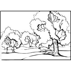 Malvorlage: Landschaft (Natur und Jahreszeiten) #165517 - Kostenlose Malvorlagen zum Ausdrucken
