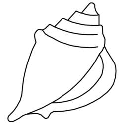 Malvorlage: Muschel (Natur und Jahreszeiten) #163151 - Kostenlose Malvorlagen zum Ausdrucken
