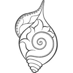 Malvorlage: Muschel (Natur und Jahreszeiten) #163152 - Kostenlose Malvorlagen zum Ausdrucken