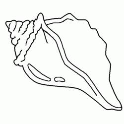 Malvorlage: Muschel (Natur und Jahreszeiten) #163159 - Kostenlose Malvorlagen zum Ausdrucken