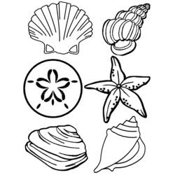 Malvorlage: Muschel (Natur und Jahreszeiten) #163170 - Kostenlose Malvorlagen zum Ausdrucken