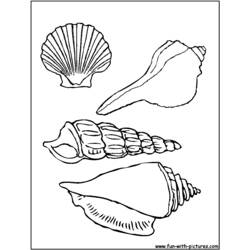 Malvorlage: Muschel (Natur und Jahreszeiten) #163174 - Kostenlose Malvorlagen zum Ausdrucken