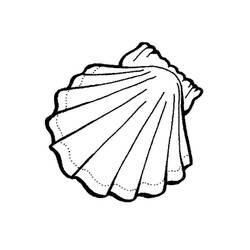 Malvorlage: Muschel (Natur und Jahreszeiten) #163203 - Kostenlose Malvorlagen zum Ausdrucken