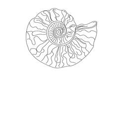 Malvorlage: Muschel (Natur und Jahreszeiten) #163204 - Kostenlose Malvorlagen zum Ausdrucken