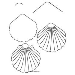Malvorlage: Muschel (Natur und Jahreszeiten) #163239 - Kostenlose Malvorlagen zum Ausdrucken