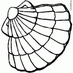 Malvorlage: Muschel (Natur und Jahreszeiten) #163262 - Kostenlose Malvorlagen zum Ausdrucken