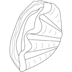 Malvorlage: Muschel (Natur und Jahreszeiten) #163266 - Kostenlose Malvorlagen zum Ausdrucken