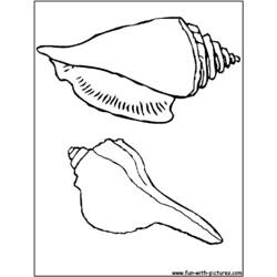 Malvorlage: Muschel (Natur und Jahreszeiten) #163273 - Kostenlose Malvorlagen zum Ausdrucken