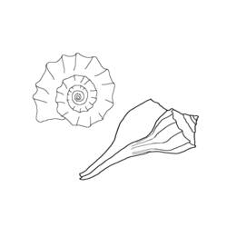 Malvorlage: Muschel (Natur und Jahreszeiten) #163303 - Kostenlose Malvorlagen zum Ausdrucken