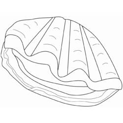 Malvorlage: Muschel (Natur und Jahreszeiten) #163386 - Kostenlose Malvorlagen zum Ausdrucken