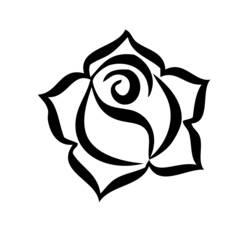 Zeichnungen zum Ausmalen: Rosen - Kostenlose Malvorlagen zum Ausdrucken