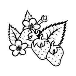 Malvorlage: Sommer (Natur und Jahreszeiten) #165116 - Kostenlose Malvorlagen zum Ausdrucken