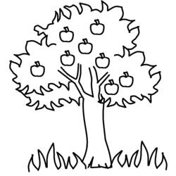 Malvorlage: Apfelbaum (Natur) #163457 - Kostenlose Malvorlagen zum Ausdrucken