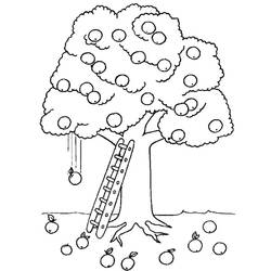 Malvorlage: Apfelbaum (Natur) #163662 - Kostenlose Malvorlagen zum Ausdrucken