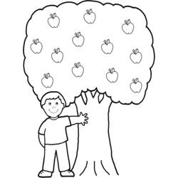 Malvorlage: Apfelbaum (Natur) #163745 - Kostenlose Malvorlagen zum Ausdrucken