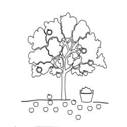 Malvorlage: Apfelbaum (Natur) #163752 - Kostenlose Malvorlagen zum Ausdrucken