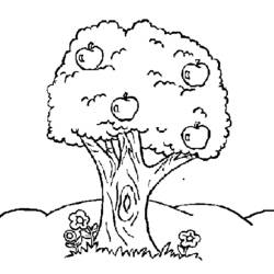 Malvorlage: Apfelbaum (Natur) #163757 - Kostenlose Malvorlagen zum Ausdrucken