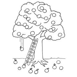 Malvorlage: Apfelbaum (Natur) #163771 - Kostenlose Malvorlagen zum Ausdrucken