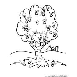 Malvorlage: Apfelbaum (Natur) #163788 - Kostenlose Malvorlagen zum Ausdrucken