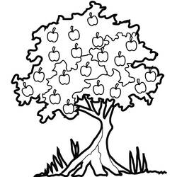 Malvorlage: Apfelbaum (Natur) #163846 - Kostenlose Malvorlagen zum Ausdrucken