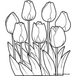 Malvorlage: Blumen (Natur) #154985 - Kostenlose Malvorlagen zum Ausdrucken