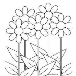 Malvorlage: Blumen (Natur) #154997 - Kostenlose Malvorlagen zum Ausdrucken