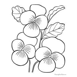 Malvorlage: Blumen (Natur) #155085 - Kostenlose Malvorlagen zum Ausdrucken