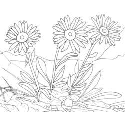Malvorlage: Blumen (Natur) #155116 - Kostenlose Malvorlagen zum Ausdrucken