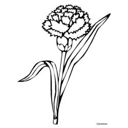 Malvorlage: Blumen (Natur) #155180 - Kostenlose Malvorlagen zum Ausdrucken
