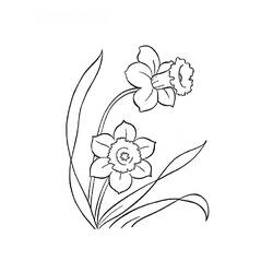 Malvorlage: Blumen (Natur) #155250 - Kostenlose Malvorlagen zum Ausdrucken